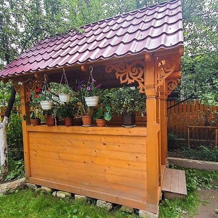 Приватна Садиба Vinemax Vorokhta Extérieur photo